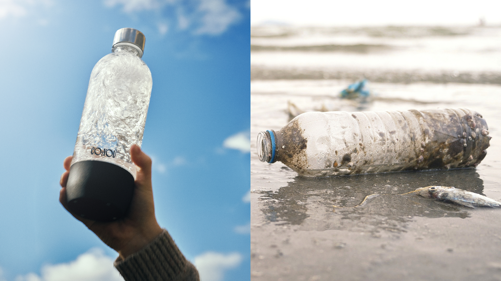 Single-Use Plastic vs Sparkling Water Machines: Who Wins?