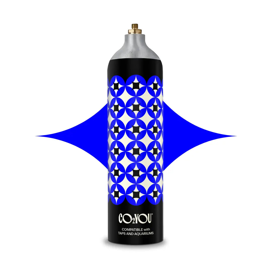 CO2 YOU Large Gas Cylinder Rental