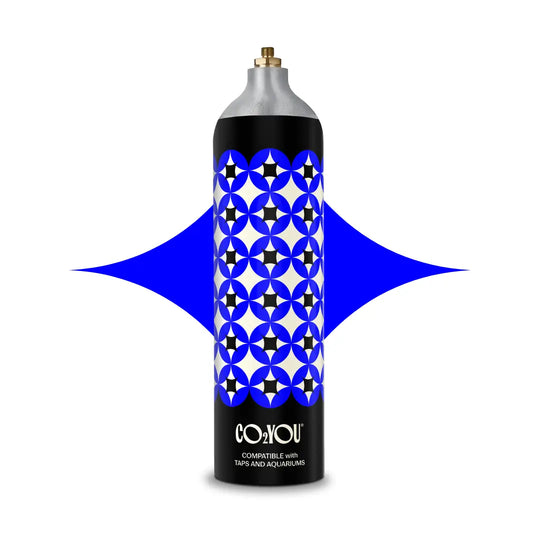 CO2 YOU Large Gas Cylinder Rental