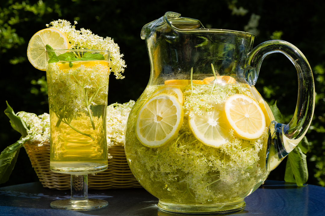 How to Make Elderflower Cordial