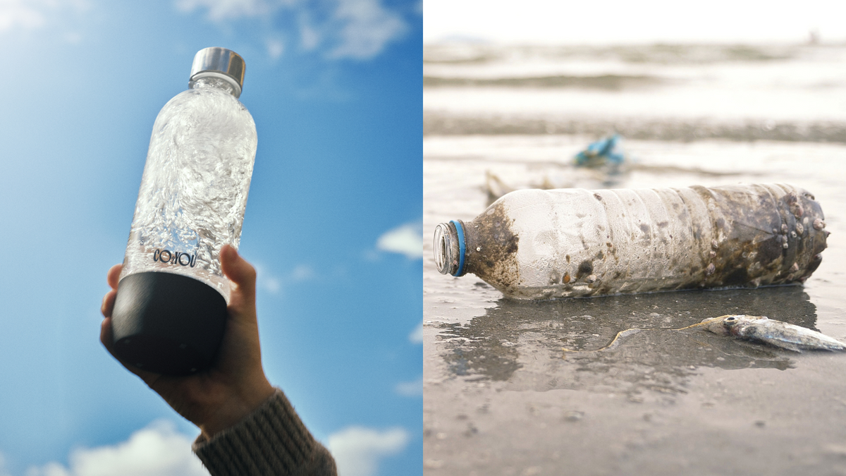 Single-Use Plastic vs Sparkling Water Machines: Who Wins?