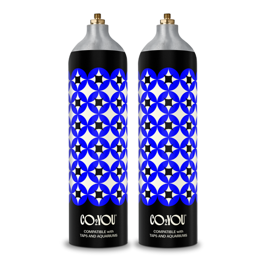 Large Gas Cylinders for B2B Taps