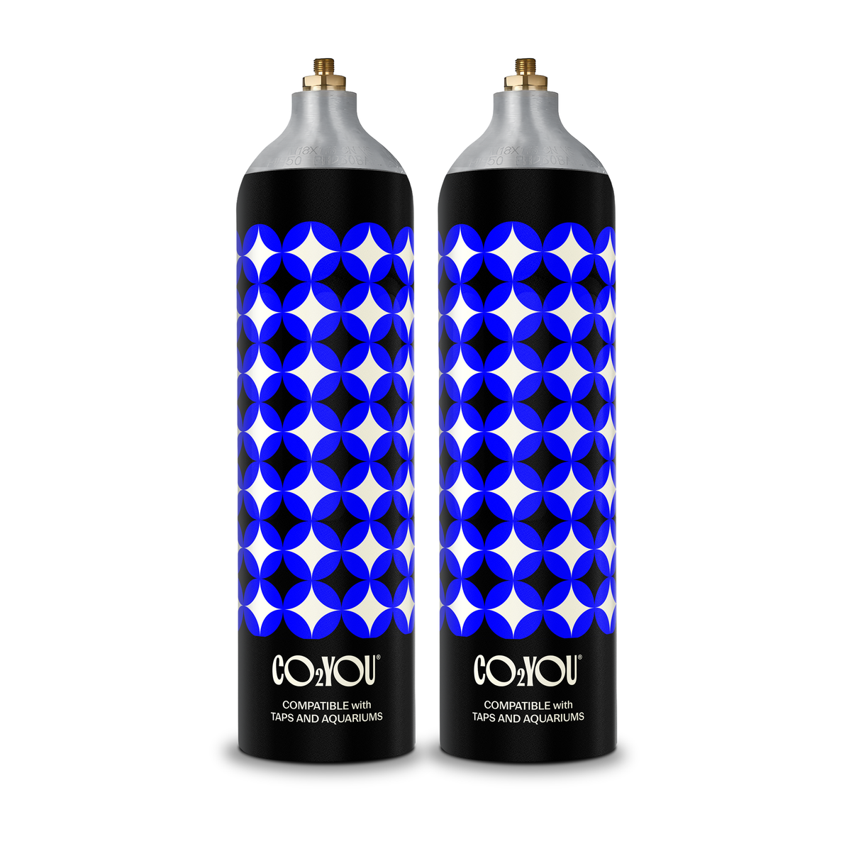 CO2 YOU Large Gas Cylinder Rental