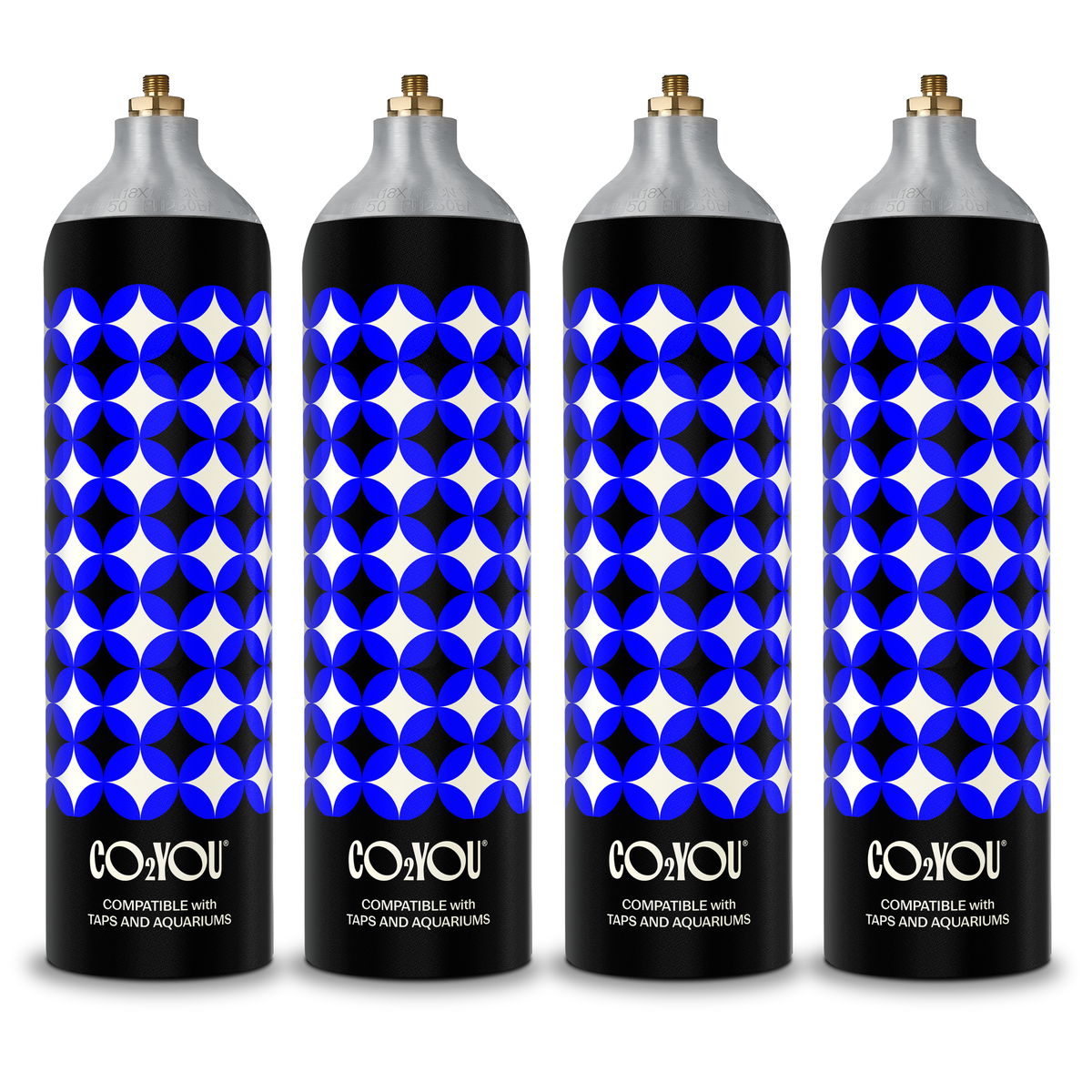 CO2 YOU Large Gas Cylinder Rental