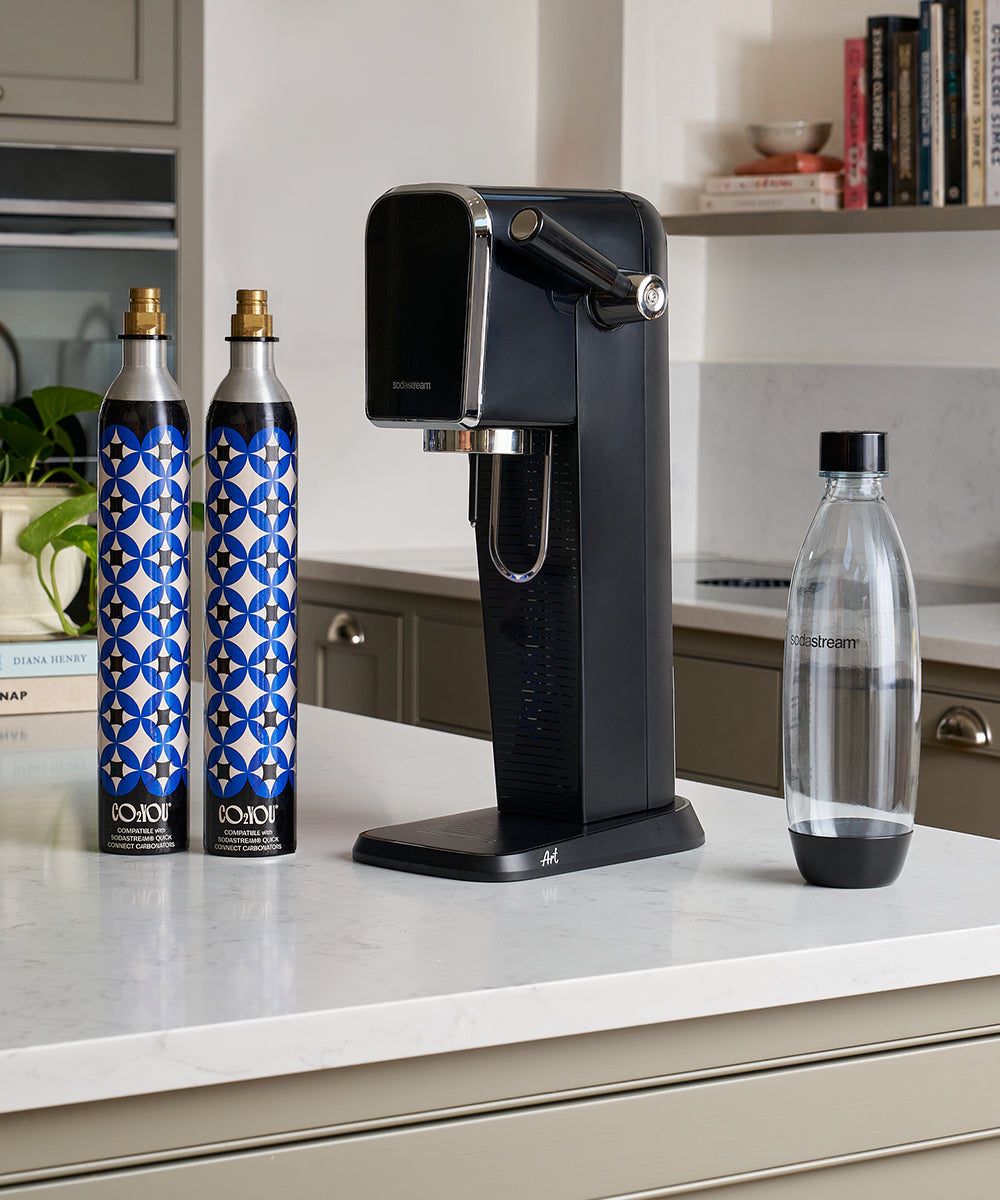 CO2 You Quick Connect Gas Cylinder